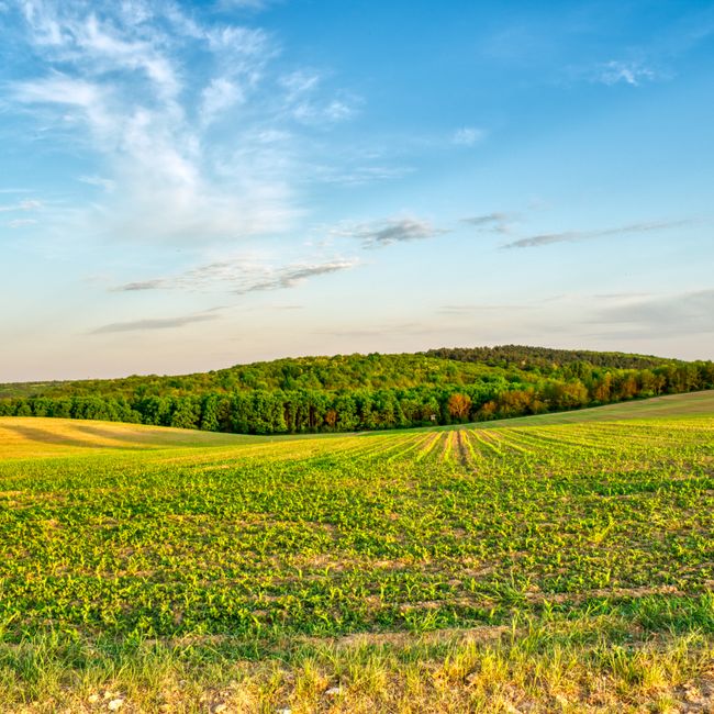 Poľnohospodárska pôda a farma